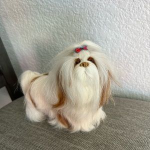 Small standing shih tzu
